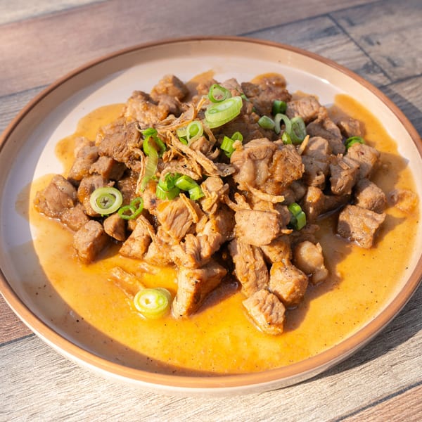 Close-up of Take Ur Seat's savory pork adobo with green onions and crispy fried shallots.